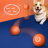 Pet Rubber Ball