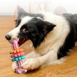 Dog Bone Chew Toy