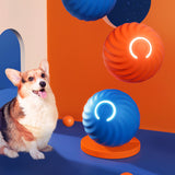 Pet Rubber Ball