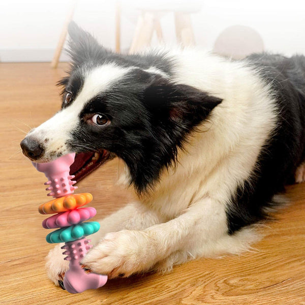 Dog Bone Chew Toy
